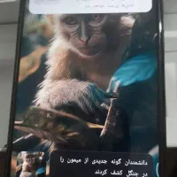 گوشی شیایومی ردمی نوت ۱۲s|موبایل|مشهد, توس (بلوار توس)|دیوار