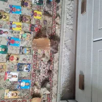 سنگ های خوشگل و با ارزش و کیمدی