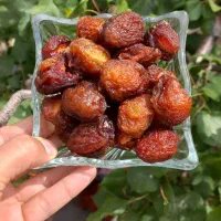 آلو|خوردنی و آشامیدنی|تهران, طیب|دیوار