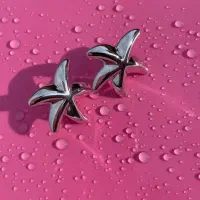 اکسسوری وبدلیجات