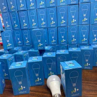 تمامی وات های لامپ نیکا نور شارژ شد|لامپ و چراغ|ملایر, |دیوار