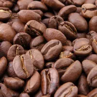 استخدام باریستا