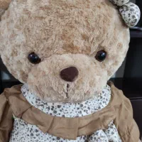 خرس بزرگ|اسباب‌بازی بچه|گرگان, |دیوار