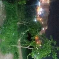 سویت سویت سویت