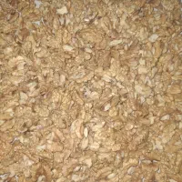 مغز گردو درجه یک ایرانی