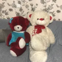 دو عدد عروسک خرسی|اسباببازی بچه|رشت, کوی مهر|دیوار