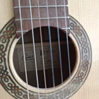 فروش ساز گیتاردوریس ds