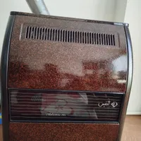 بخاری آدنیس در حد نوع