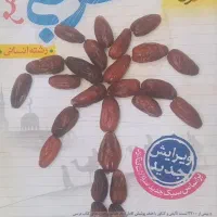 کتاب های کنکورخیلی سبز(رشته انسانی)چاپ۱۴۰۳|کتاب و مجله آموزشی|کنگاور, |دیوار