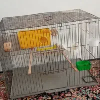 قفس پرنده وعروس هلندی