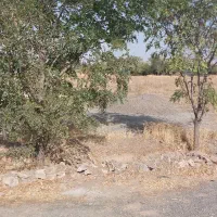 زمین-باغستان-ثامن-آرامش