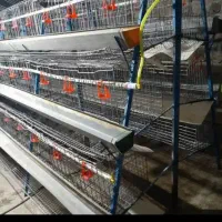 قفس مرغ تخم گذار