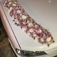 ماشین داماد و اجاره خودرو|گل مصنوعی|زنجان, |دیوار
