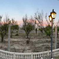باغچه-316-متری