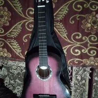 گیتار نوع نوع
