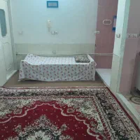 منزل اجاره ای روزانه|اجارهٔ کوتاه‌مدت آپارتمان و سوئیت|یزد, |دیوار