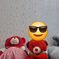 دوتا خرس قرمز