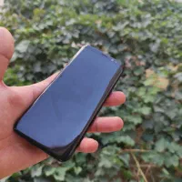 سامسونگ s8|موبایل|مشهد, تربیت (صدف)|دیوار