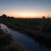 پرس جو