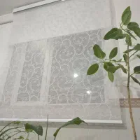 پرده|پرده، رانر، رومیزی|ابهر, |دیوار