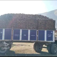 تریل هشت چرخ