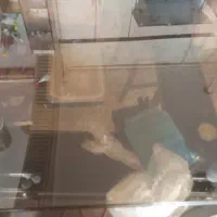 میز ناهارخوری شش نفره