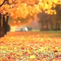 راهنمایی صحیح