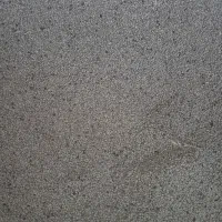لوبیا چیتی درجه یک