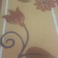 یک فرش فانتزی ۲۳۰در۱۵۵ بهمراه پادری و دوتا شش متری