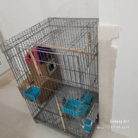 قفس پرنده