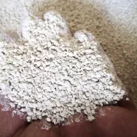 مینرال صدف طبیعی خرد شده ی کبوتر|پرنده|شیراز, گلکوب|دیوار