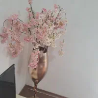 زیبا