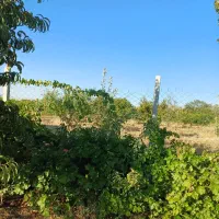 باغ فنس کشی شده و زمین آبی و ساختمان کنارسدجامیشان|فروش خانه و ویلا|سنقر, |دیوار