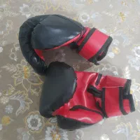 دستکش کیک بوکسینگ|تجهیزات ورزشی|کرج, شهرک بنفشه|دیوار