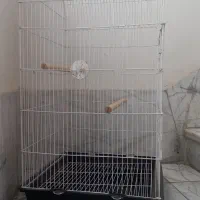 قفس طوطی بزرگ