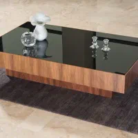 جلو مبلی|مبلمان خانگی و میز عسلی|میاندوآب, |دیوار