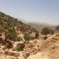 زمین ۷۵ متری کوی آزادی لور