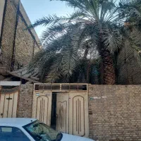 خزامی-تجاری-سر-نبفش-9