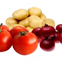 حق العمل کاری میدان مرکزی میوه و تره بار تهران