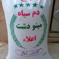 برنج دم‌سیاه ایرانی کشت دوم