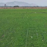 نوار تیپ و لوله و...