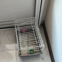 فروش قفس پرنده