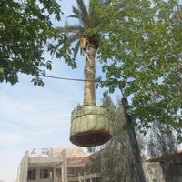 درخت کاری و باغبانی
