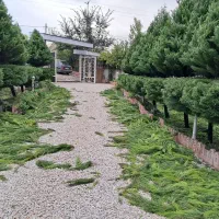 خدمات باغبانی ،هرس و غیره|خدمات باغبانی و درختکاری|اسالم, |دیوار