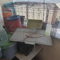قفس پرنده