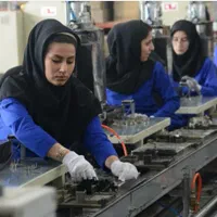 مشارکت درتولیدیا مشارکت در فروش محصولات(خانم)|استخدام بازاریابی و فروش|تهران, منصوریه منگل|دیوار