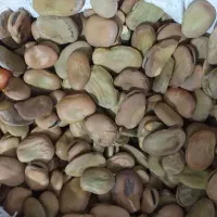 باقالا درجه یک