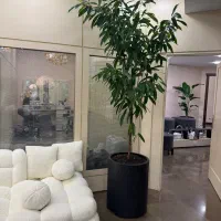 اجاره اتاق میز صندلی