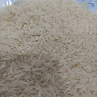 برنج طارم هاشمی
