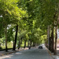 90-متر-نیما-ویودار